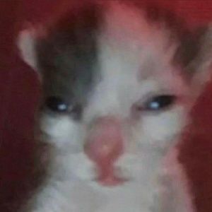 Meet your Posher, Ghost